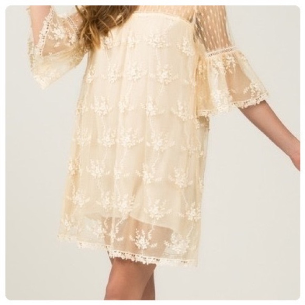 Honey Gold Dotted Lace Dress - Picture 4 of 9